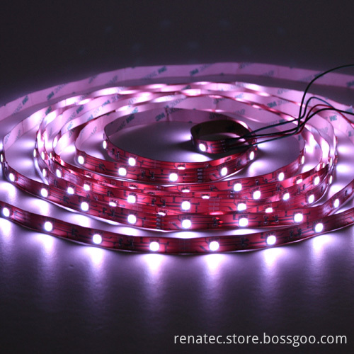 SMD LED Strip-2